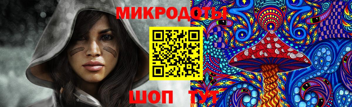 Псилоцибиновые грибы GOLDEN TEACHER Советск