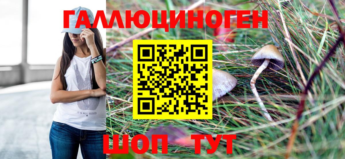 Советск  Галлюциногенные грибы прущие грибы  Псилоцибиновые грибы MAGIC MUSHROOMS  Вход с VPN 